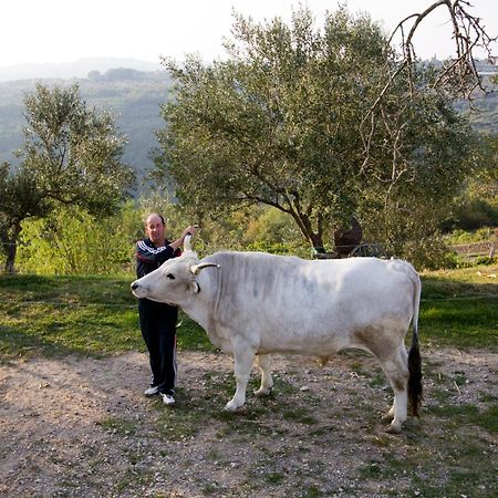 Tourist Farm Robivera Smarje  Экстерьер фото