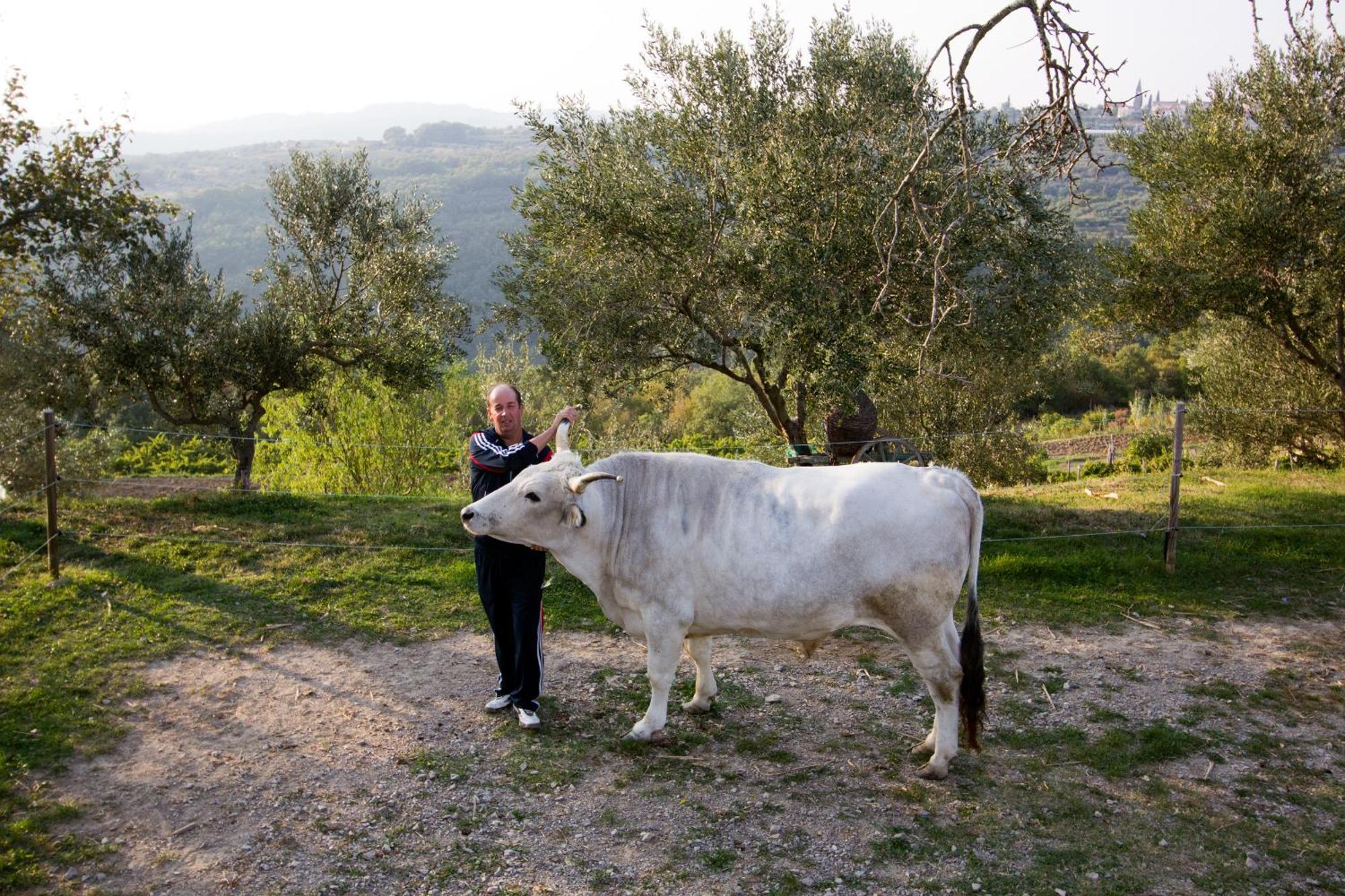 Tourist Farm Robivera Smarje  Экстерьер фото